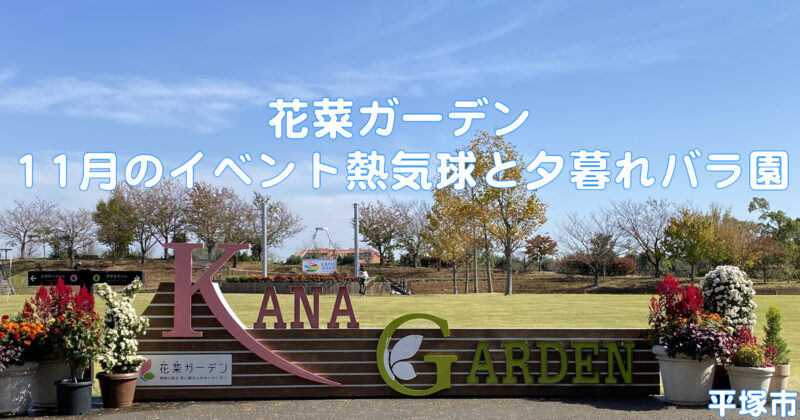 花菜ガーデン/平塚市　11月のイベント熱気球と夕暮れバラ園